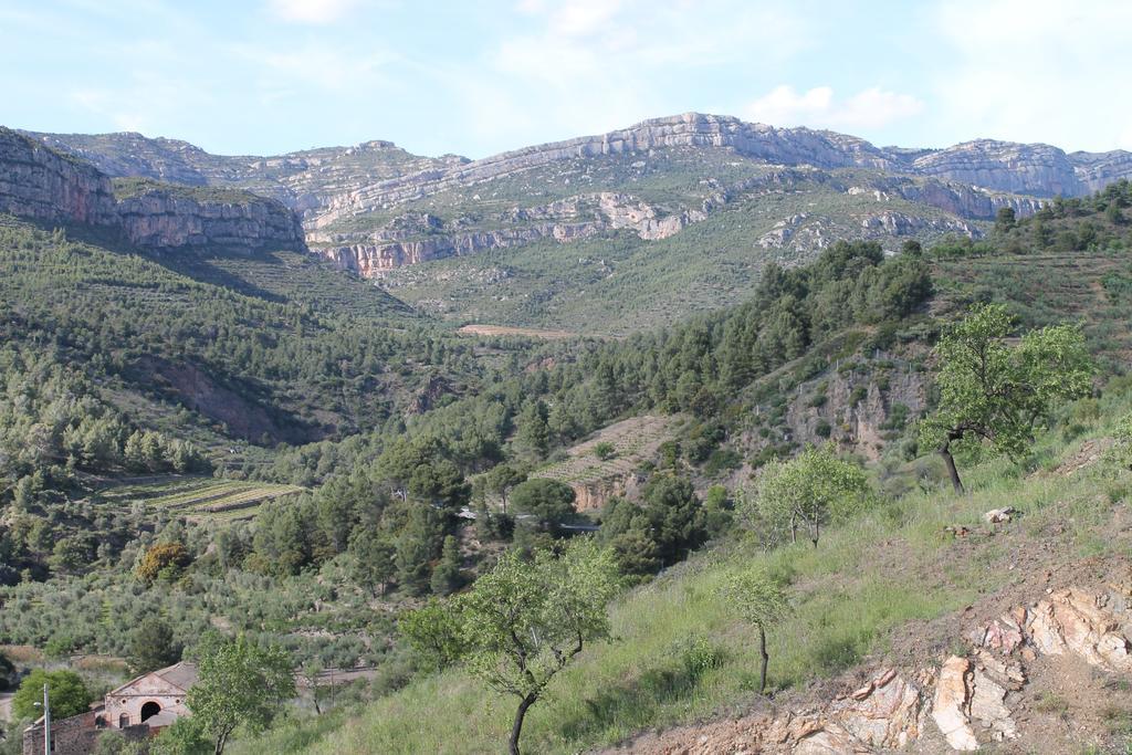 Villa Cal Millo Vilella Alta Esterno foto